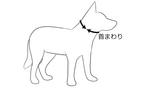 サイズの測り方