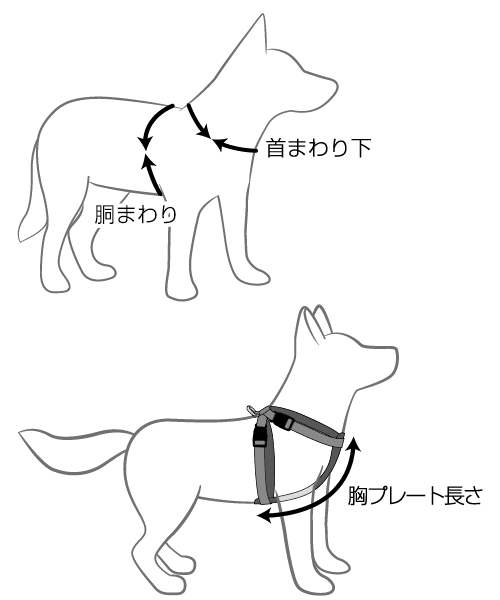 サイズの測り方