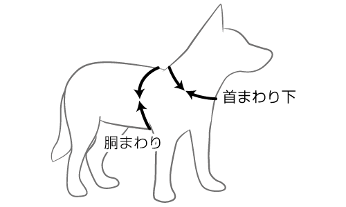 サイズの測り方