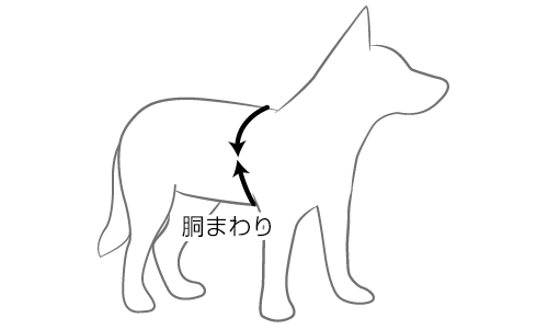 サイズの測り方