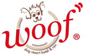 10/22(土)イージードッグ即売会を開催します！（山中湖ドッグリゾートWoof）