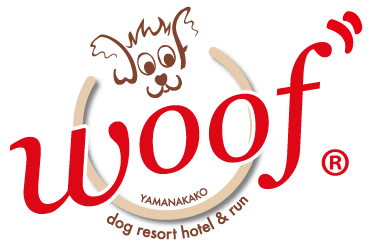 7/14(土)イージードッグ試着即売会を開催します！（山中湖ドッグリゾートWoof）