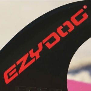 7/23(土)イージードッグ予約会を開催します！（ペットエコ上大岡店）