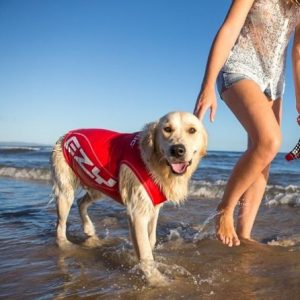 レトリバー専門店『G&Sea鎌倉』でサマーアイテム販売会を開催します！