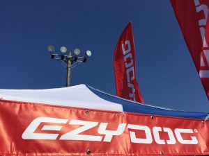 12/25(日)DSEクリスマスカップに出店します！