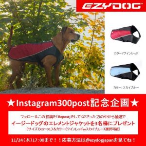 インスタグラム限定！！エレメントジャケットプレゼント企画開催します！！