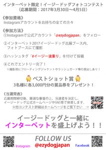 完インターペットフォトコンチラシ（裏）