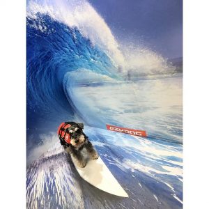 20170414_054533000_iOS