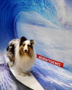 20170414_054904000_iOS