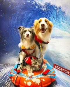 20170414_054939000_iOS