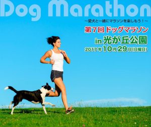 第7回ドッグマラソンin光が丘公園に協賛させていただきます！