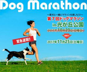 第７回ドッグマラソンin光が丘公園に協賛させていただきます！11/25（土）