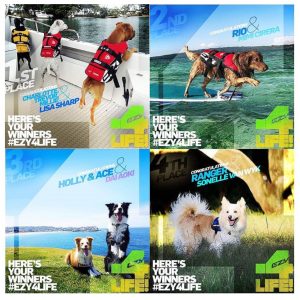 EzyDog Worldwideフォトコンテスト結果発表！！