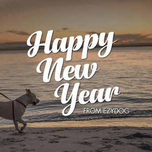 あけましておめでとうございます！