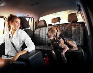 2018新製品情報についてHP更新致しました！