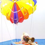 イージードッグフォトコンテスト「#イージー空中遊泳」結果発表