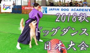 2018秋ドッグダンス日本大会に協賛します！10/28(日)