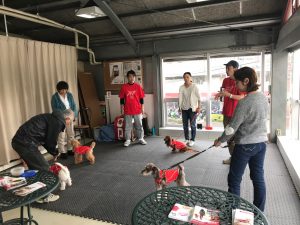 大人気のドッグダンス体験会、10月28日（日）に開催しました！