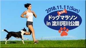 第９回ドッグマラソンin淀川河川公園に協賛させていただきます！11/11（日）