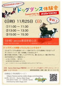 愛犬とダンスを体験しよう！ドッグダンス体験会　11月25日（日）に開催！