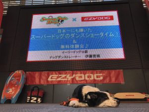 GWは愛犬とドッグダンスを体験！ドッグダンス体験会　5月3日（金・祝）に開催！
