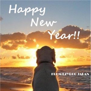 あけましておめでとうございます！