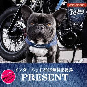 インスタグラム限定！！インターペット2019無料招待券プレゼント企画開催！