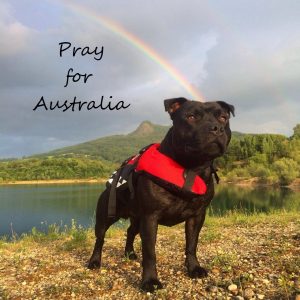 売上の一部をオーストラリア赤十字に寄付させて頂きました