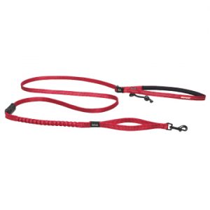 ロードランナーライト