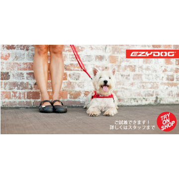 TRY ON SHOPボード・小型犬（高さ30cm × 幅60cm）