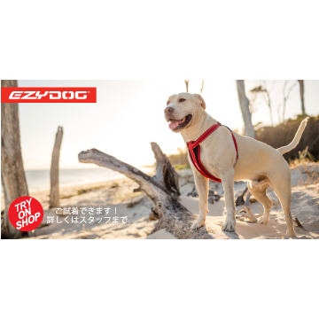 TRY ON SHOPボード・大型犬（高さ30cm × 幅60cm）