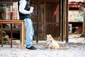 2020新製品情報についてHP更新致しました！