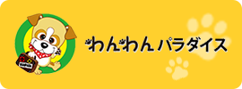 わんわんパラダイスにてイージードッグ・フローティングジャケットのレンタル利用開始！