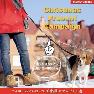 【中止】インスタグラムのフォロワー様限定企画！！クリスマスプレゼント🎄