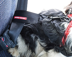 ドライブ専用グッズ