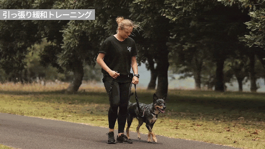 胴まわりに合図を送るトレーニングシステム