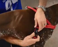 簡単２ステップ装着