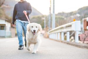 2021新製品情報についてHP更新致しました！