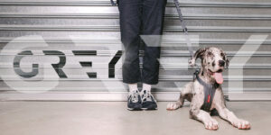 2022年春の新製品情報についてHP更新致しました！