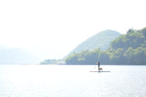 ドッグコミュニティ更新しました！