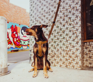 2022秋の新製品情報についてHP更新致しました！