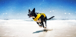 2023年春夏の新製品情報についてHP更新致しました！