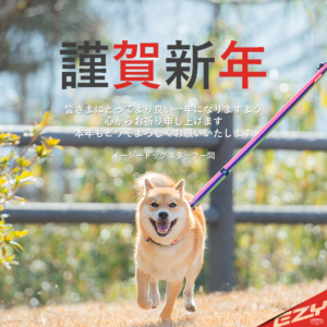 あけましておめでとうございます