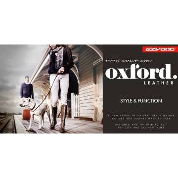 レザ-(リード版)（高さ30cm×幅60cm ）