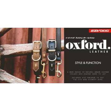 レザー(首輪版)（高さ20cm×幅60cm）