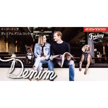 デニムA(男女)（高さ30cm×幅60cm）