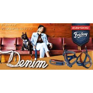 デニムB(女性単独)（高さ30cm×幅60cm）