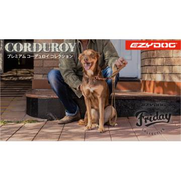 コーデュロイB（高さ10cm×幅30cm）