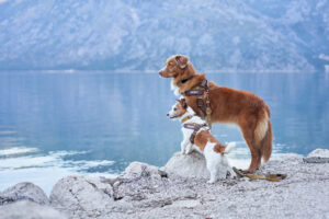 2024年春夏の新製品情報についてHP更新しました！