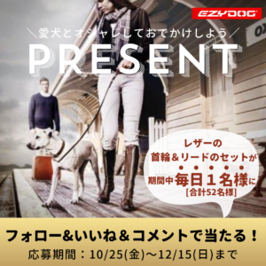 秋支度に！レザープレゼント企画🎁